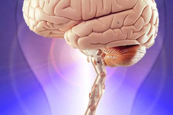 8 brain and puzzle games to play to sharpen skills