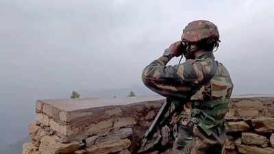 Pakistani national detained near LoC in Poonch sector | Jammu News