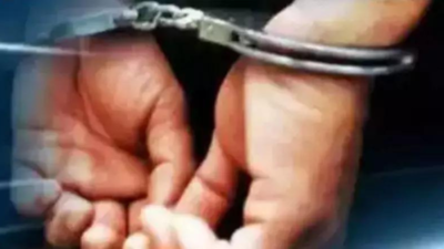 Woman among 2 held for spying; drone arms drop foiled | India News
